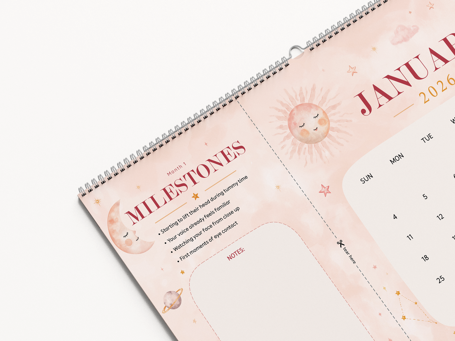 Celestial Bloom Baby Milestone Calendar | 2026–2027 Keepsake Wall Calendar