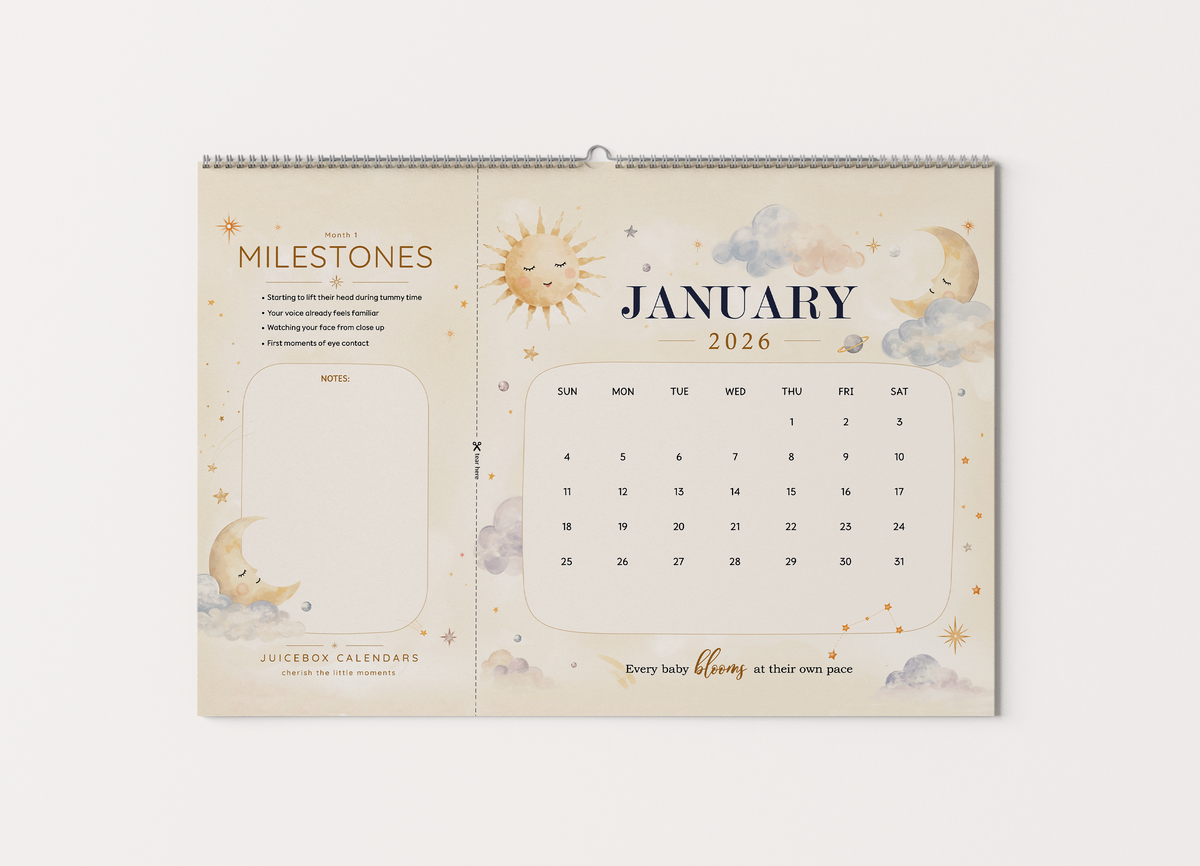Soft Sky 24-month baby milestone wall calendar, 11 × 17 inches